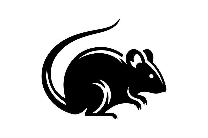 rat icon