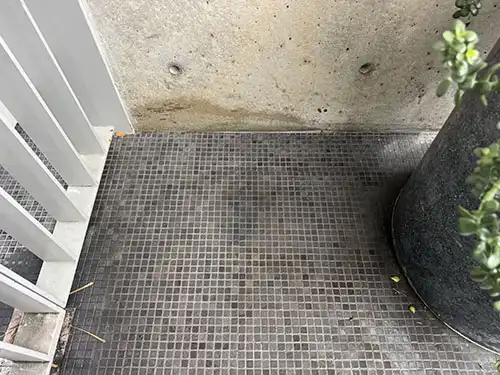 human waste cleanup in Venice After photo