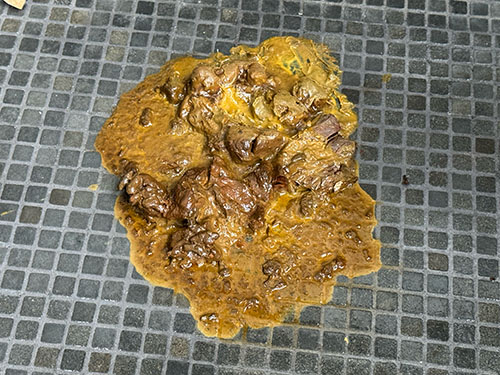 human waster cleanup Venice Beach