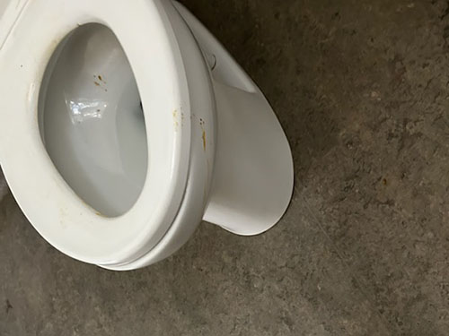 human feces smeared on a toilet in Santa Barbara