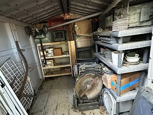 rodent droppings in shed tear down - Camarillo, CA