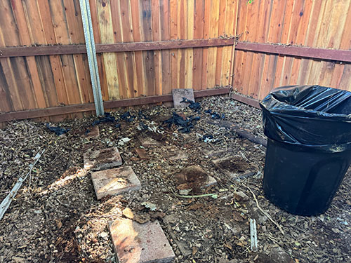 after photo of a tear down of a shed with rodent droppings in Camarillo, CA