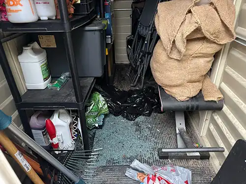 rodent droppings in storage shed in Los Angeles, CA