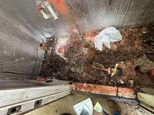 rodent droppings in shed - Rancho Palos Verdes, CA