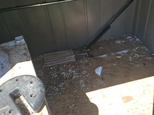 rodent droppings in shed - San Pedro, CA -