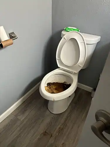 sewage backup in toilet before - Arroyo Grande