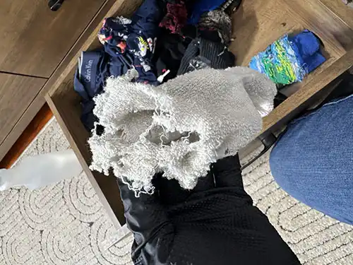 rodents gnawed through socks