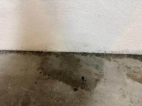 human feces cleanup in Century City parking lot (after)