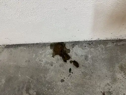 human feces cleanup in  Century City parking lot (before)