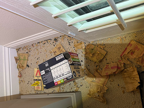rat droppings and chewed oatmeal packaging